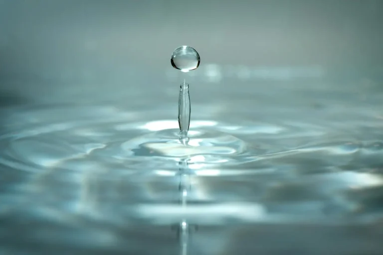 Gestion de l&rsquo;eau : le guide pour les organisations