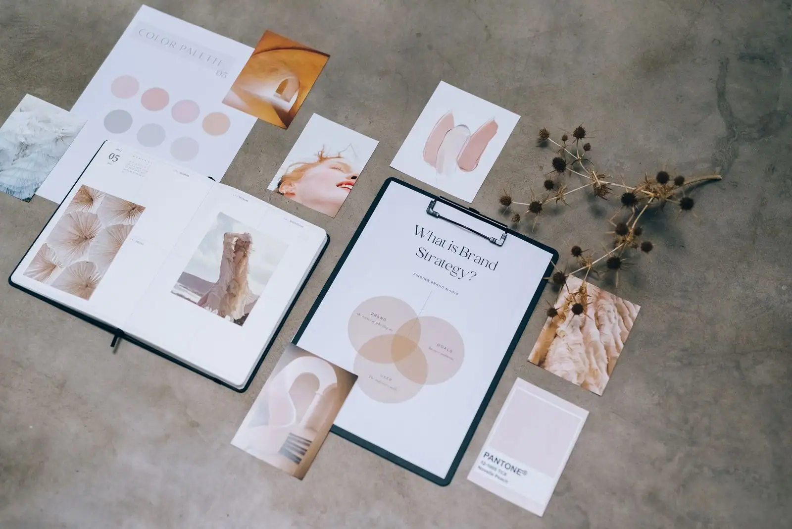 Planche d'identité de marque à plat : nuancier de couleurs, moodboard et échantillon Pantone