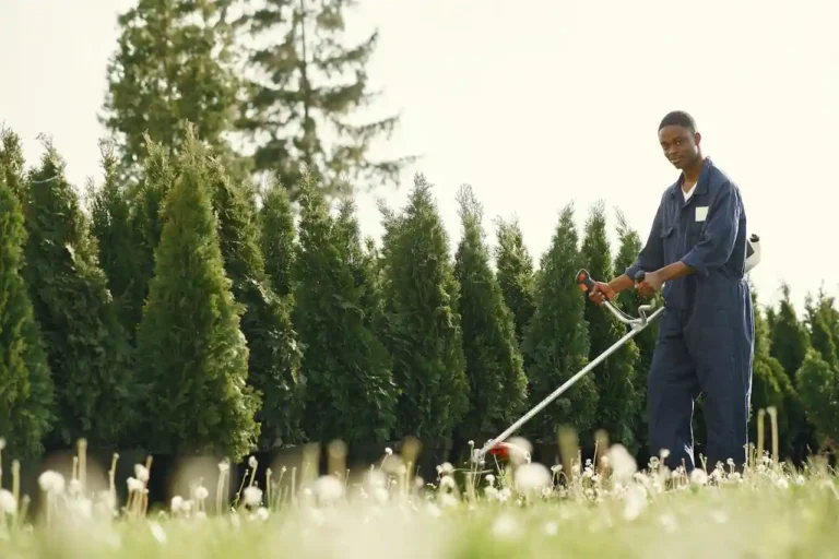 Crédit d&rsquo;impôt jardinage : ce à quoi vous avez droit